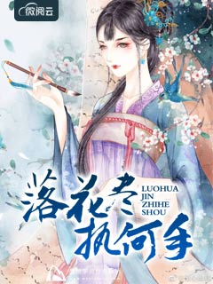 花落尽执何手全集