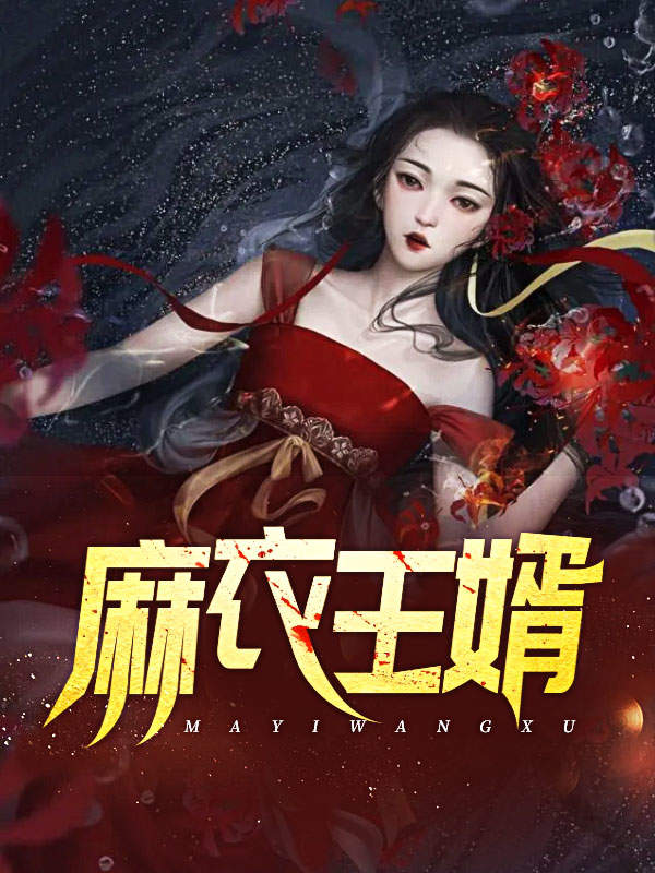 麻衣王婿免费阅读