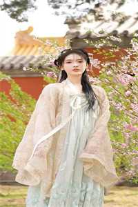 疾风无忧全文