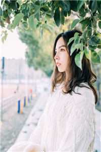 假意同居全文阅读