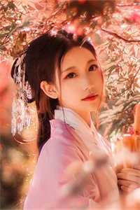 全文棠岁林宴羽