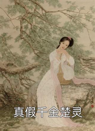 一家网红民宿精品小说