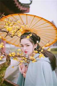完整阅读被夺气运？穿越真千金团灭户口本