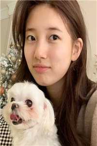 穿书后我和儿子们的金手指合并了完整版