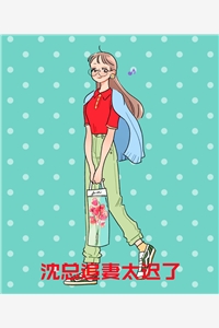 畅销书目武极之巅