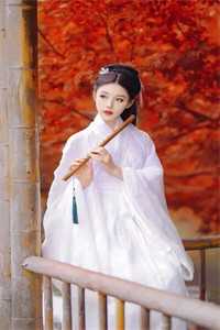全本小说夫人从深渊来