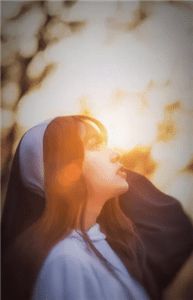 精品全篇被告无证行医后，他成了兽医一把手