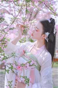 全集小说从欲