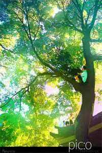 玄幻：开局获得一座妖神塔畅读全文