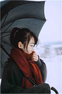 嫁给无根丞相后，太子悔疯了