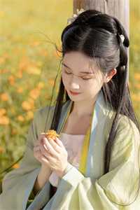 千帆过尽，晚舟已停顾千帆宁晚舟免费阅读全文_热门小说大全千帆过尽，晚舟已停顾千帆宁晚舟