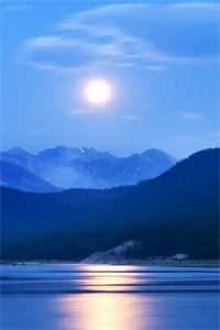 昨夜星辰许淮安宋姣姣全本免费完结小说_免费小说完结昨夜星辰许淮安宋姣姣